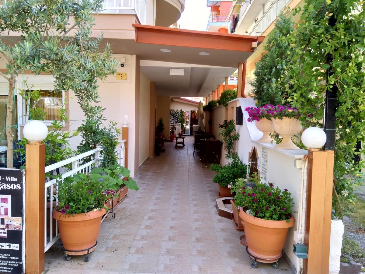 Hotel Villa Pigasos Paralía 外观 照片
